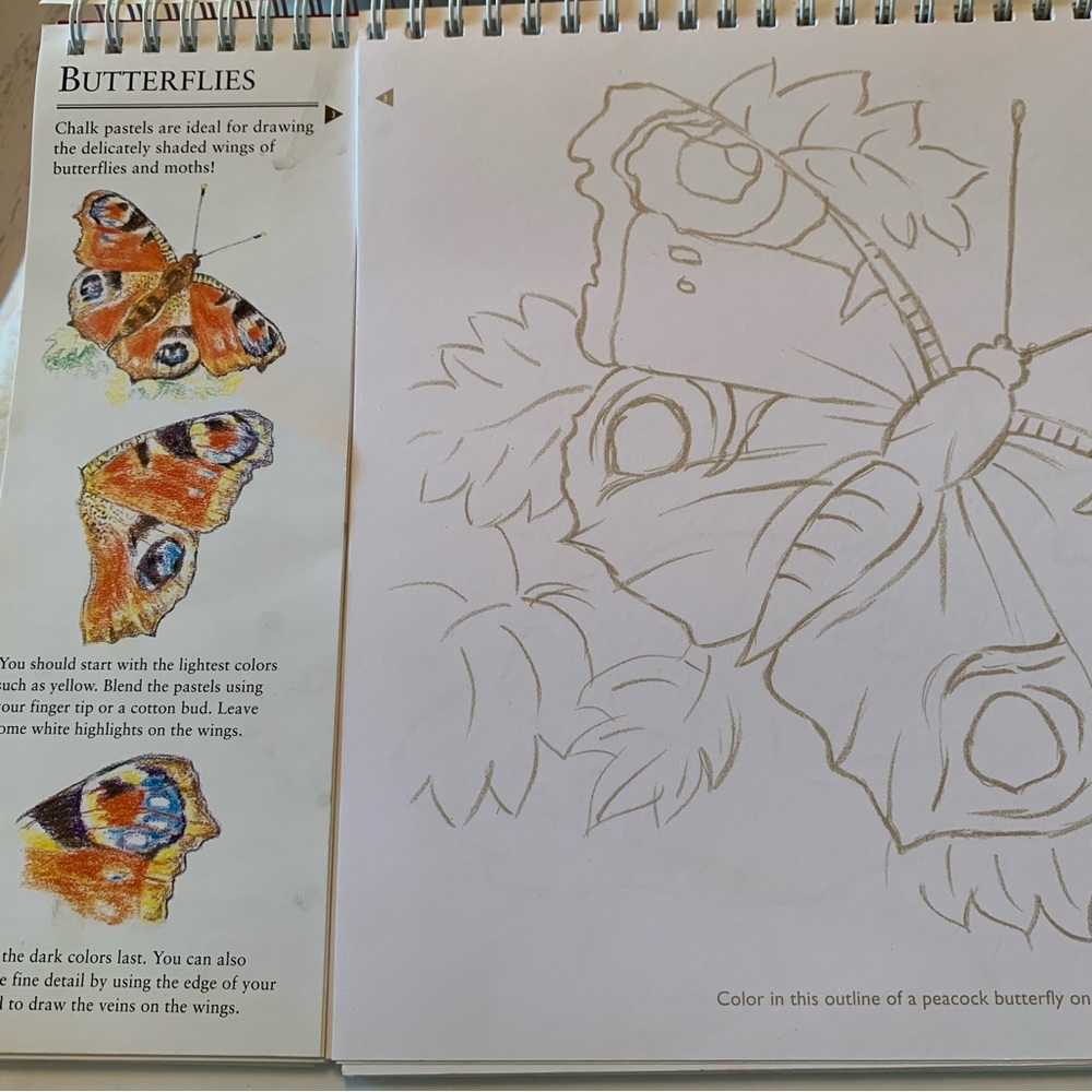 Art works drawing instruction book for chalk and charcoal sketching